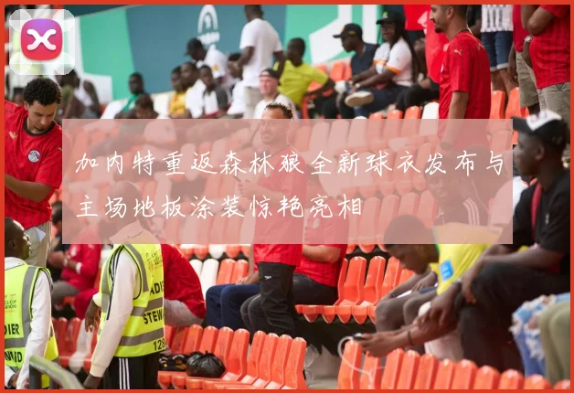 加内特重返森林狼全新球衣发布与主场地板涂装惊艳亮相