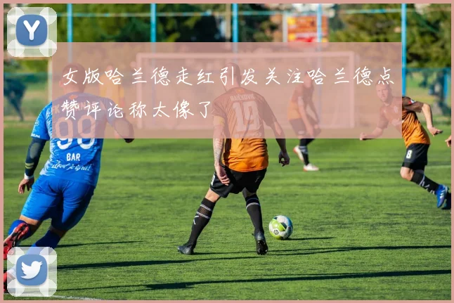 女版哈兰德走红引发关注哈兰德点赞评论称太像了