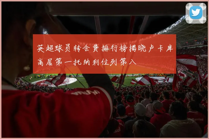 英超球员转会费排行榜揭晓卢卡库高居第一托纳利位列第八