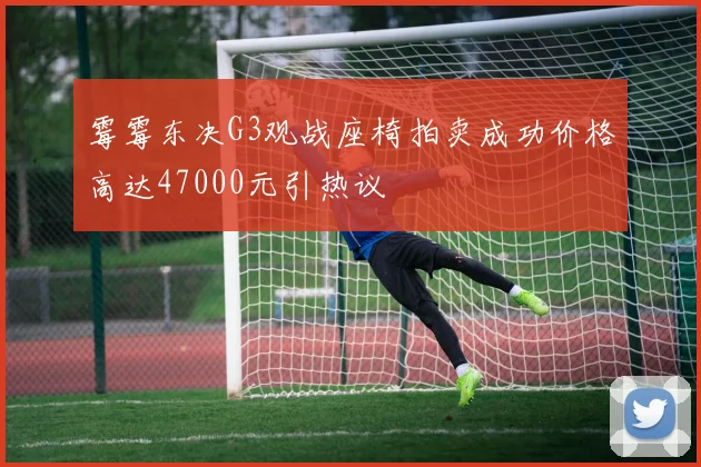 霉霉东决G3观战座椅拍卖成功价格高达47000元引热议